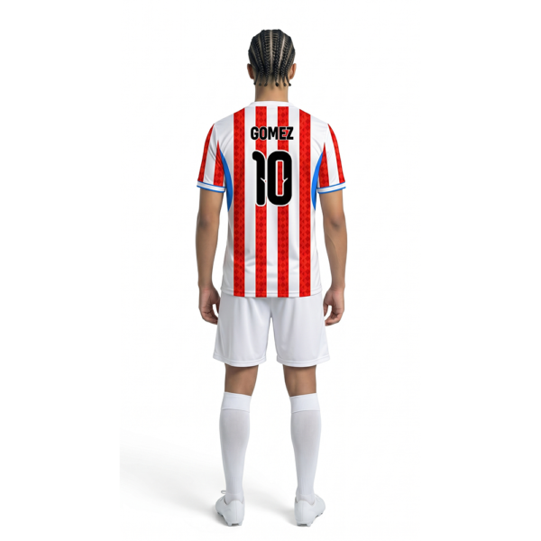 Paraguay Concept Forma Arkadan Görünüm