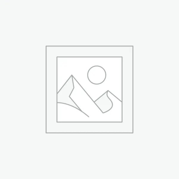 Basketbol Formaları